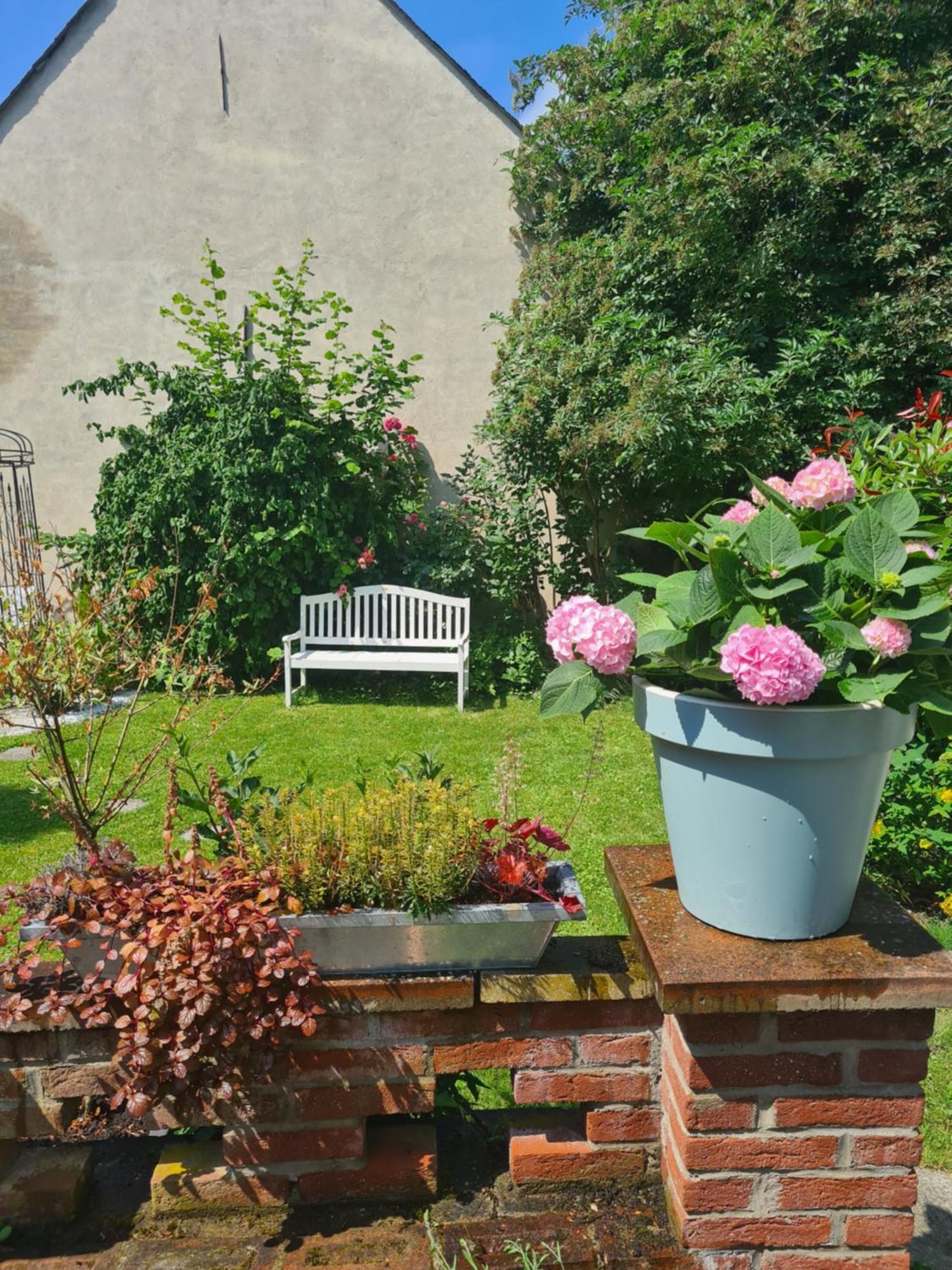 Das Moevennest Bad Camberg Extérieur photo